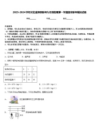 2023-2024学年河北省滦县联考九年级物理第一学期期末联考模拟试题含答案