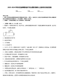 2023-2024学年河北省秦皇岛抚宁区台营区物理九上期末综合测试试题含答案