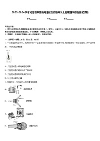 2023-2024学年河北省秦皇岛海港区五校联考九上物理期末综合测试试题含答案