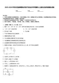 2023-2024学年河北省秦皇岛市抚宁区官庄中学物理九上期末达标检测模拟试题含答案