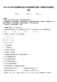 2023-2024学年河北省秦皇岛市抚宁区台营区物理九年级第一学期期末综合测试模拟试题含答案