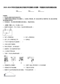 2023-2024学年河北省石家庄市部分学校物理九年级第一学期期末质量检测模拟试题含答案