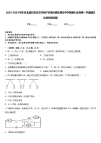 2023-2024学年河北省石家庄市井陉矿区贾庄镇区贾庄中学物理九年级第一学期期末达标检测试题含答案