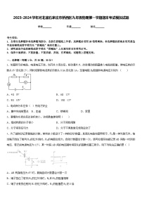 2023-2024学年河北省石家庄市桥西区九年级物理第一学期期末考试模拟试题含答案