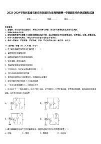 2023-2024学年河北省石家庄市栾城区九年级物理第一学期期末综合测试模拟试题含答案