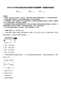 2023-2024学年河北省石家庄市高邑县九年级物理第一学期期末经典试题含答案