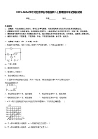 2023-2024学年河北省邢台市临西县九上物理期末考试模拟试题含答案