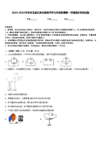 2023-2024学年河北省石家庄精英中学九年级物理第一学期期末预测试题含答案