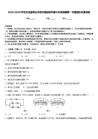 2023-2024学年河北省邢台市英华集团初中部九年级物理第一学期期末经典试题含答案