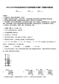 2023-2024学年河北省石家庄市八校联考物理九年级第一学期期末经典试题含答案