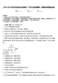 2023-2024学年河北省石家庄市第四十一中学九年级物理第一学期期末调研模拟试题含答案