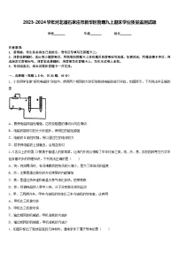 2023-2024学年河北省石家庄市新华区物理九上期末学业质量监测试题含答案