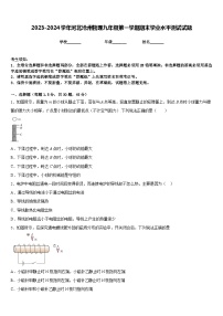 2023-2024学年河北沧州物理九年级第一学期期末学业水平测试试题含答案