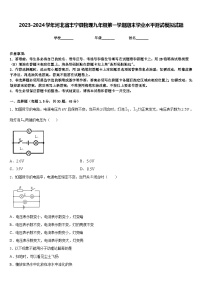 2023-2024学年河北省丰宁县物理九年级第一学期期末学业水平测试模拟试题含答案