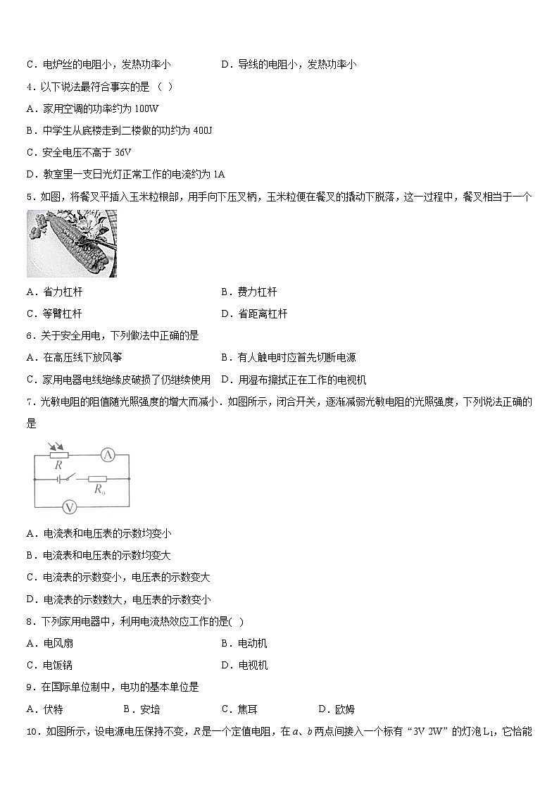 2023-2024学年河北省秦皇岛市抚宁台营区物理九上期末学业水平测试试题含答案第2页