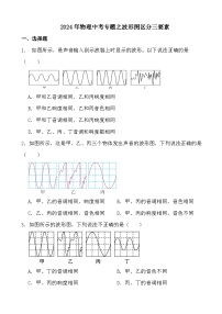 2024年物理中考专题之波形图区分三要素