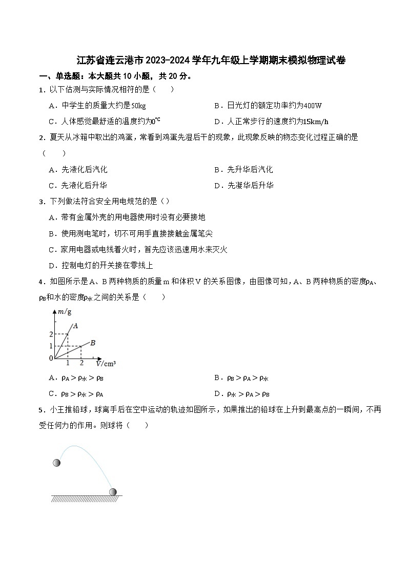 江苏省连云港市2023-2024学年九年级上学期期末模拟物理试卷01