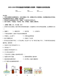 2023-2024学年河南省扶沟县物理九年级第一学期期末达标检测试题含答案