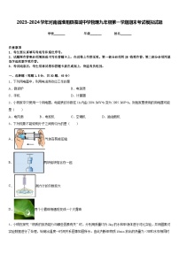 2023-2024学年河南省淮阳县羲城中学物理九年级第一学期期末考试模拟试题含答案