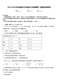 2023-2024学年河南省开封市东南区九年级物理第一学期期末调研试题含答案