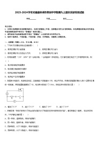 2023-2024学年河南省林州市阜民中学物理九上期末质量检测试题含答案