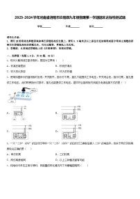 2023-2024学年河南省洛阳市汝阳县九年级物理第一学期期末达标检测试题含答案