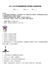 2023-2024学年河南省濮阳市第六中学物理九上期末联考试题含答案