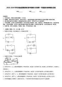 2023-2024学年河南省濮阳县区联考物理九年级第一学期期末调研模拟试题含答案