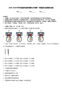 2023-2024学年河南省柘城县物理九年级第一学期期末监测模拟试题含答案