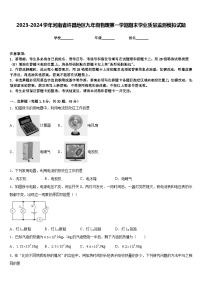 2023-2024学年河南省许昌地区九年级物理第一学期期末学业质量监测模拟试题含答案