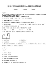 2023-2024学年河南省新乡市长垣市九上物理期末综合测试模拟试题含答案