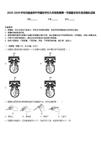 2023-2024学年河南省郑中学国际学校九年级物理第一学期期末综合测试模拟试题含答案