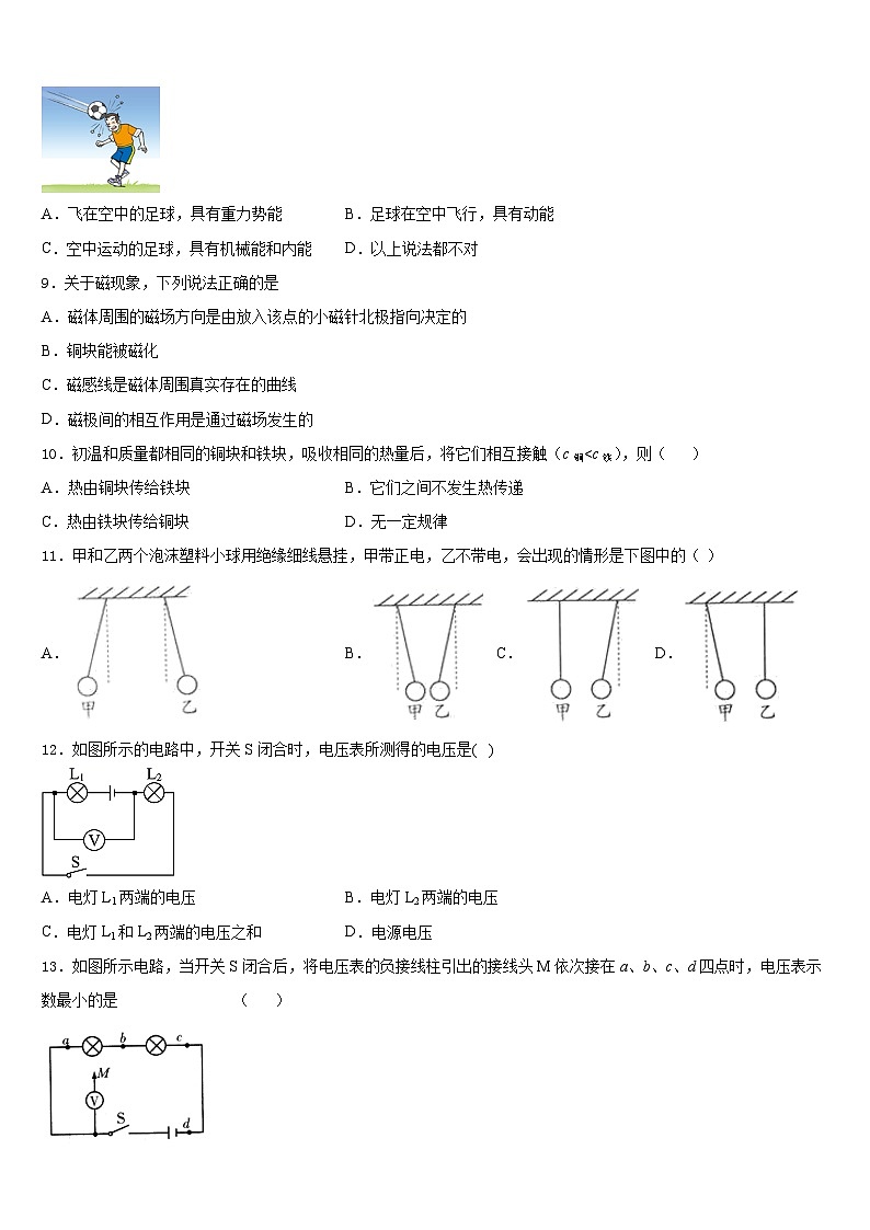 2023-2024学年河南省郸城县物理九上期末学业质量监测模拟试题含答案03