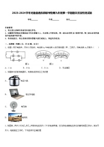 2023-2024学年河南省鹿邑县联考物理九年级第一学期期末质量检测试题含答案