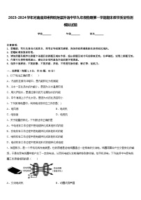 2023-2024学年河南省郑州师院附属外语中学九年级物理第一学期期末教学质量检测模拟试题含答案