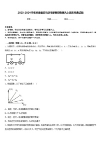 2023-2024学年河南省驻马店市新蔡县物理九上期末经典试题含答案