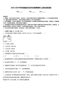 2023-2024学年河南省驻马店市正阳县物理九上期末监测试题含答案