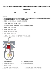 2023-2024学年河南郑州中学原区郑州中学原实验学校物理九年级第一学期期末达标检测模拟试题含答案