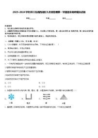 2023-2024学年浙江杭州西湖区九年级物理第一学期期末调研模拟试题含答案