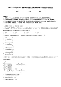 2023-2024学年浙江省丽水市莲都区物理九年级第一学期期末检测试题含答案