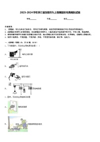 2023-2024学年浙江省东阳市九上物理期末经典模拟试题含答案