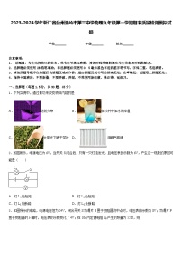 2023-2024学年浙江省台州温岭市第三中学物理九年级第一学期期末质量检测模拟试题含答案