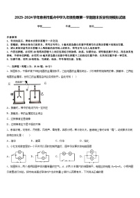 2023-2024学年泉州市重点中学九年级物理第一学期期末质量检测模拟试题含答案