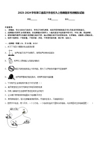 2023-2024学年浙江省嘉兴市名校九上物理期末检测模拟试题含答案