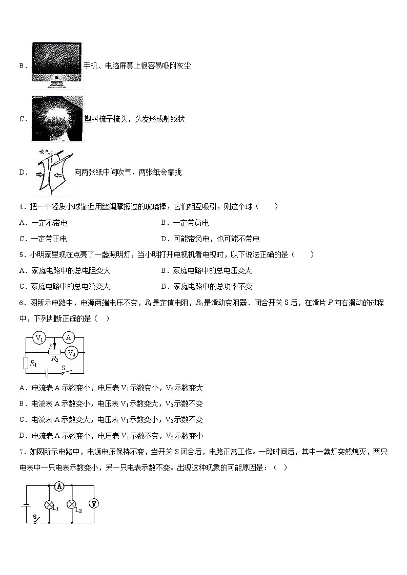 2023-2024学年浙江省丽水九年级物理第一学期期末检测试题含答案第2页