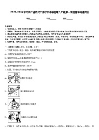 2023-2024学年浙江省嘉兴市海宁市许巷物理九年级第一学期期末调研试题含答案