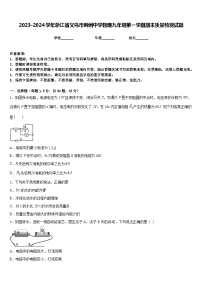 2023-2024学年浙江省义乌市稠州中学物理九年级第一学期期末质量检测试题含答案