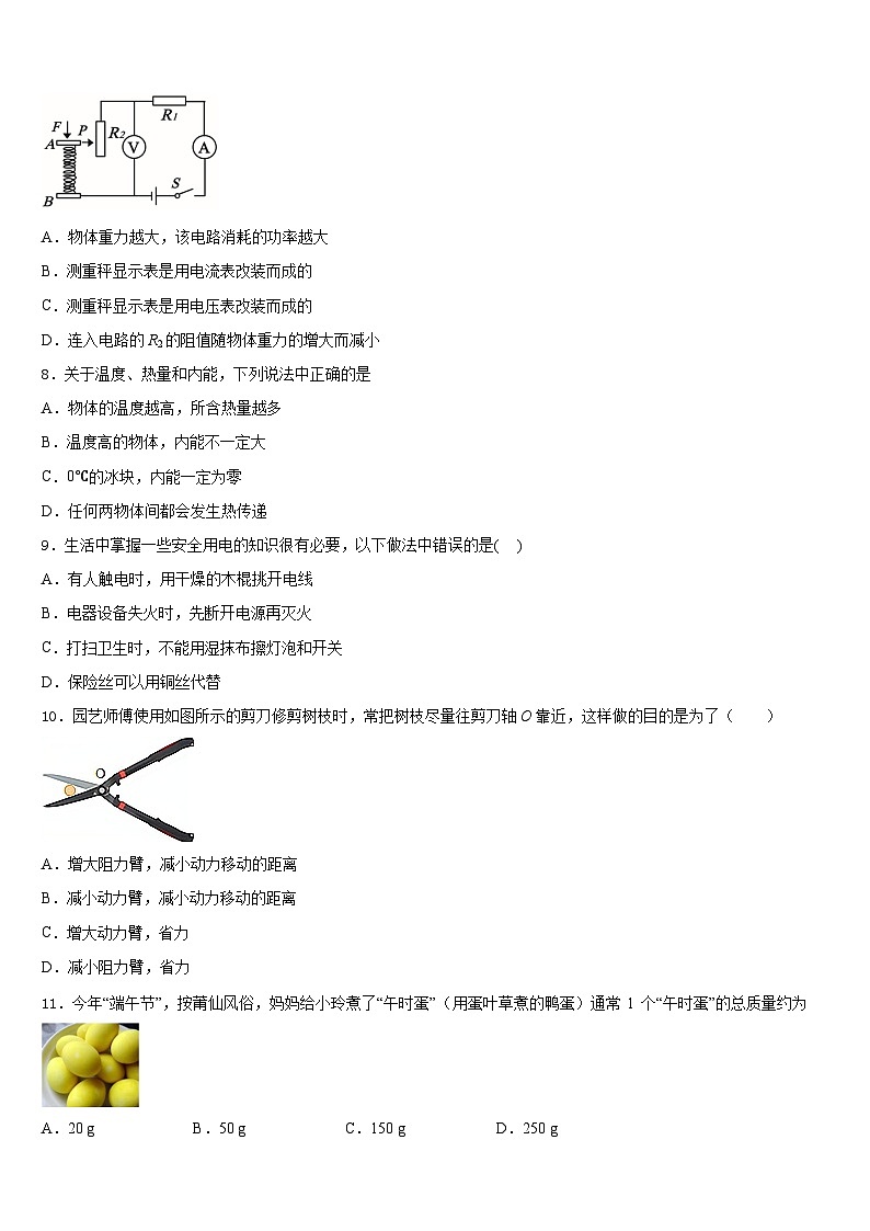 2023-2024学年浙江省义乌市稠州中学物理九年级第一学期期末质量检测试题含答案第3页