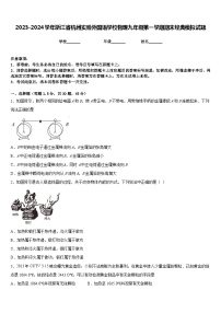 2023-2024学年浙江省杭州实验外国语学校物理九年级第一学期期末经典模拟试题含答案