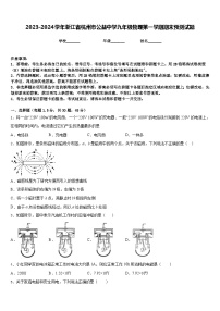 2023-2024学年浙江省杭州市公益中学九年级物理第一学期期末预测试题含答案